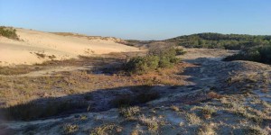 Les côtes de Gironde fragilisées par l’érosion des dunes