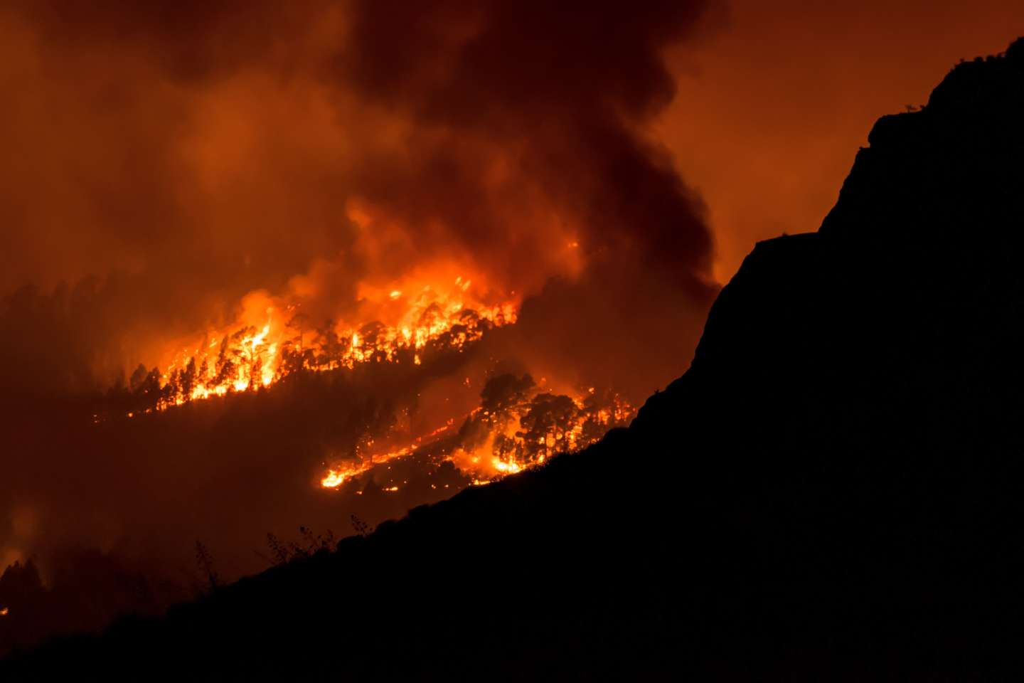 En Espagne, un immense incendie ravage l’archipel des Canaries