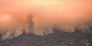 Espagne : l’incendie à Tenerife a brûlé près de 4 000 hectares