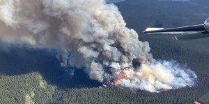 Incendies : au Canada, les émissions de CO₂ plus de deux fois supérieures au précédent record