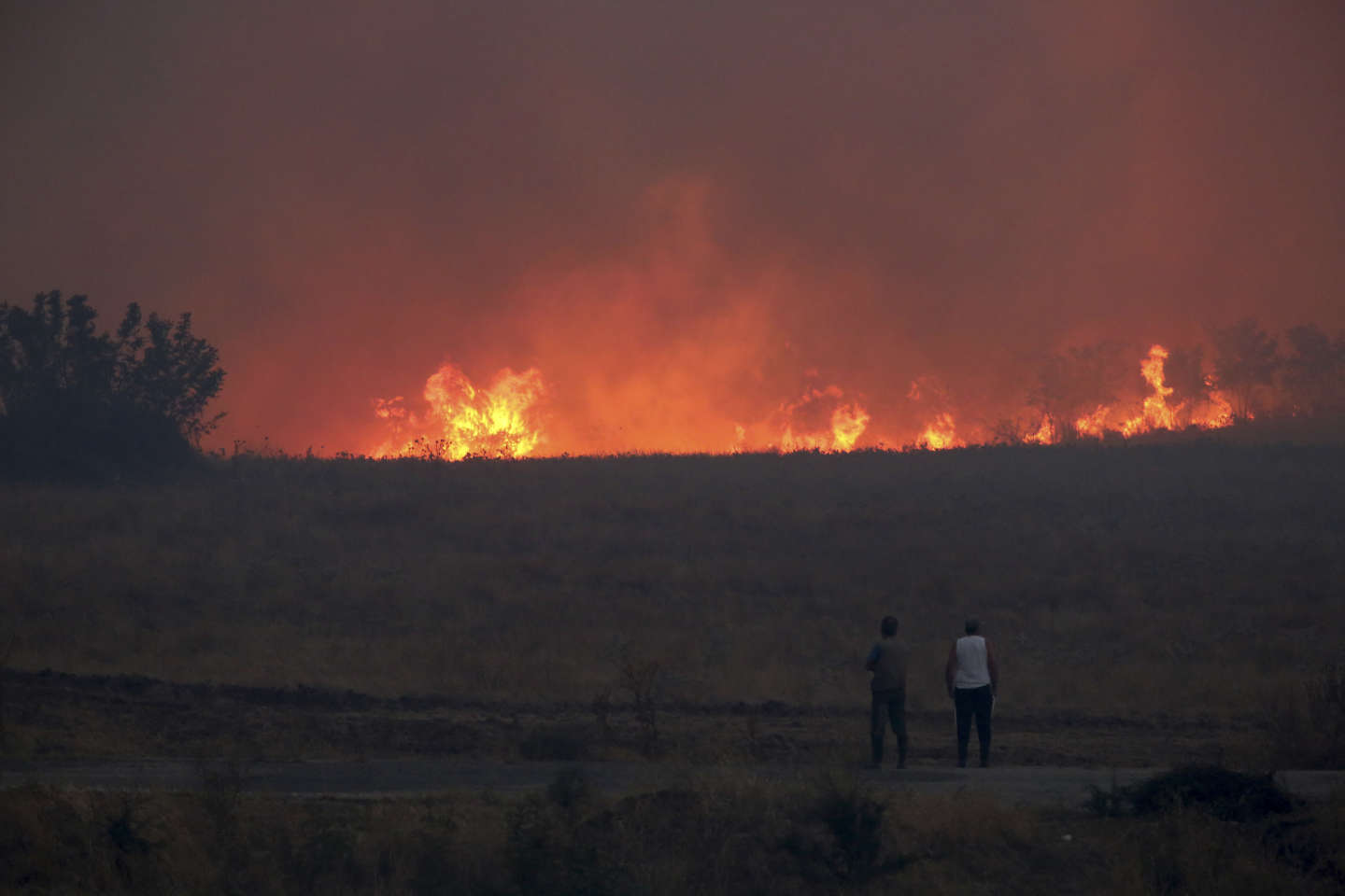 Incendies en Grèce : de nouveaux feux dans le centre du pays provoquent la mort d’une personne