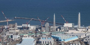 Nucléaire : le Japon autorise le rejet des eaux de Fukushima, malgré les oppositions multiples