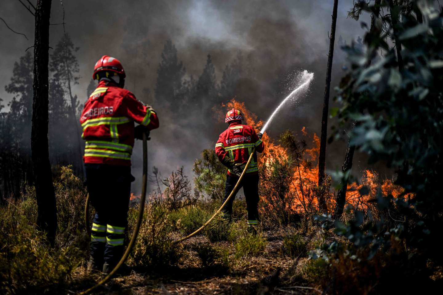 Au Portugal, près de 2 800 pompiers toujours mobilisés pour lutter contre les incendies, au moins 7 000 hectares ravagés