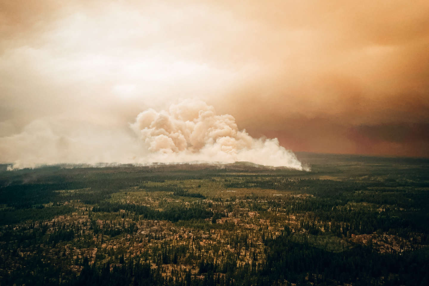 La saison exceptionnelle des incendies canadiens rendue sept fois plus probable par le réchauffement climatique