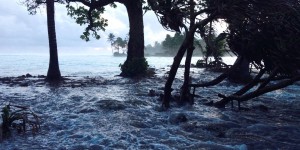 Climat : les petits Etats insulaires en appellent au droit maritime international pour faire baisser les émissions de gaz à effet de serre