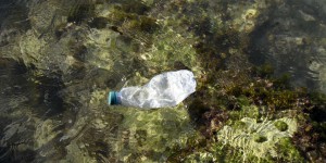 La France renonce à la consigne pour recycler les bouteilles en plastique