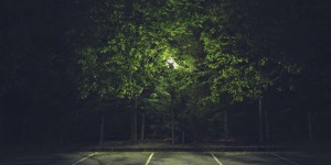 Contre la pollution de la lumière artificielle, les défenseurs de la nuit se mobilisent