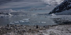 Le réchauffement en Antarctique plus important que ce que prévoyaient les modèles