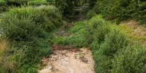 Sécheresse : 189 communes toujours privées d’eau potable en France