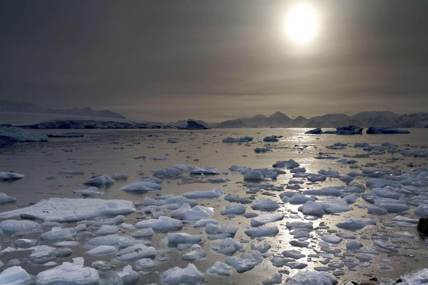 La fonte de la glace de l’Antarctique occidental « inévitable » dans tous les scénarios de réchauffement, même le plus optimiste