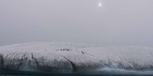 L’Antarctique en quête d’aires marines protégées