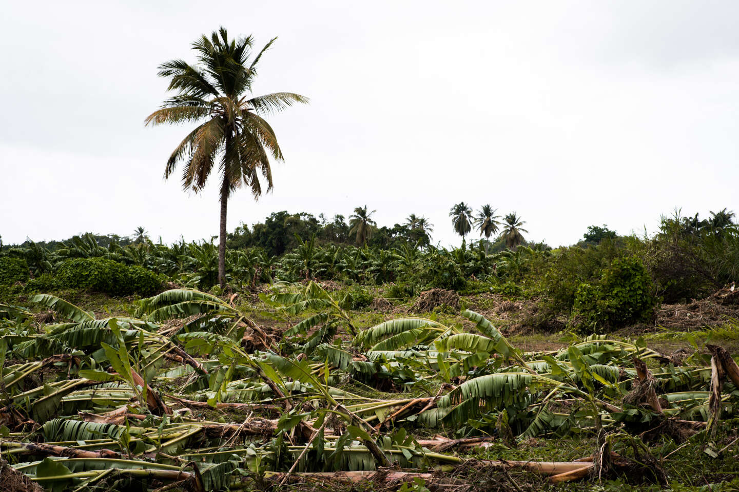 A l’approche de la tempête Tammy, des écoles fermées dans les Antilles françaises