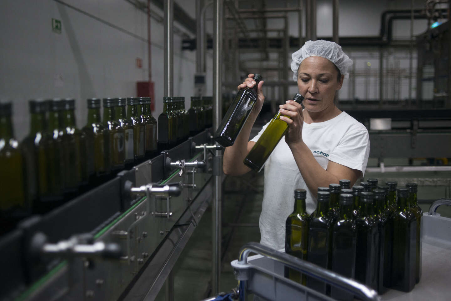 L’envolée des prix de l’huile d’olive alarme les Espagnols