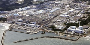Rejet des eaux de Fukushima : des entreprises pourront être indemnisées pour atteinte à la réputation