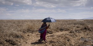 En Amérique du Sud, un printemps « historiquement chaud » accable les populations