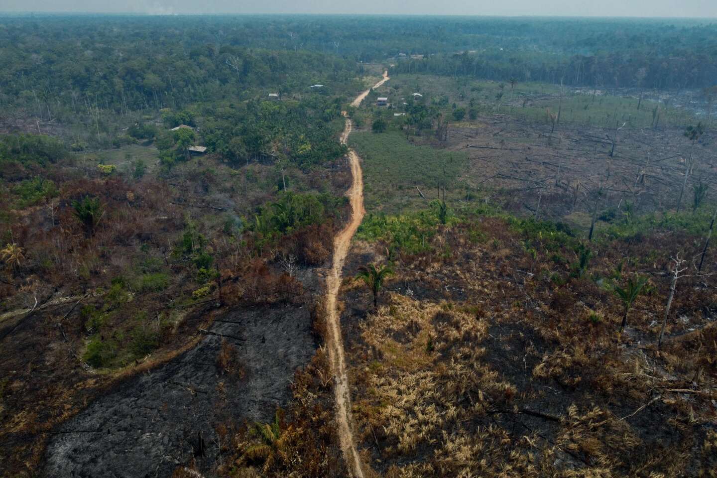 Le Brésil enregistre une baisse significative de la déforestation en Amazonie moins d’un an après le retour de Lula au pouvoir