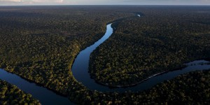 COP28 : le Brésil propose la création d’un fonds visant à protéger les forêts tropicales