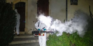 Dengue : davantage de cas importés cette saison, mais moins de transmissions en France métropolitaine