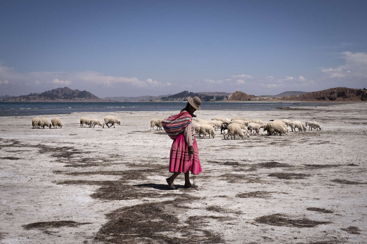 A la frontière entre le Pérou et la Bolivie, le lac Titicaca en proie à une sécheresse historique