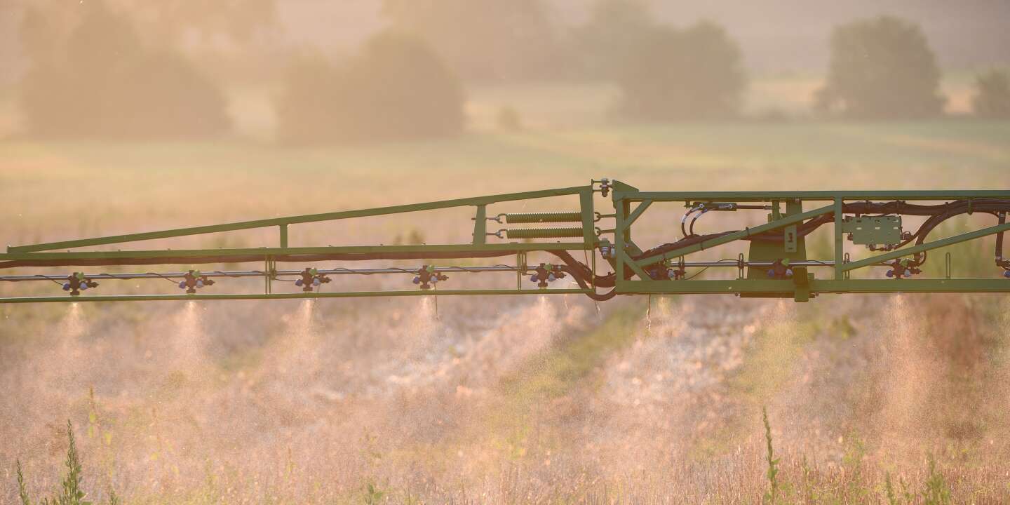 Glyphosate : pourquoi la Commission européenne a-t-elle renouvelé l’autorisation de l’herbicide ? Posez vos questions à Stéphane Foucart, journaliste au « Monde »