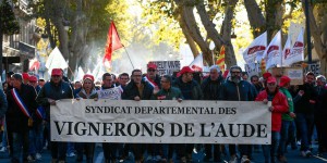 A Narbonne, le secteur viticole, partagé entre « abattement et colère », demande au gouvernement de « regarder vers le Sud »