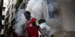 Le Bangladesh fait face à la pire épidémie de dengue jamais enregistrée dans le pays
