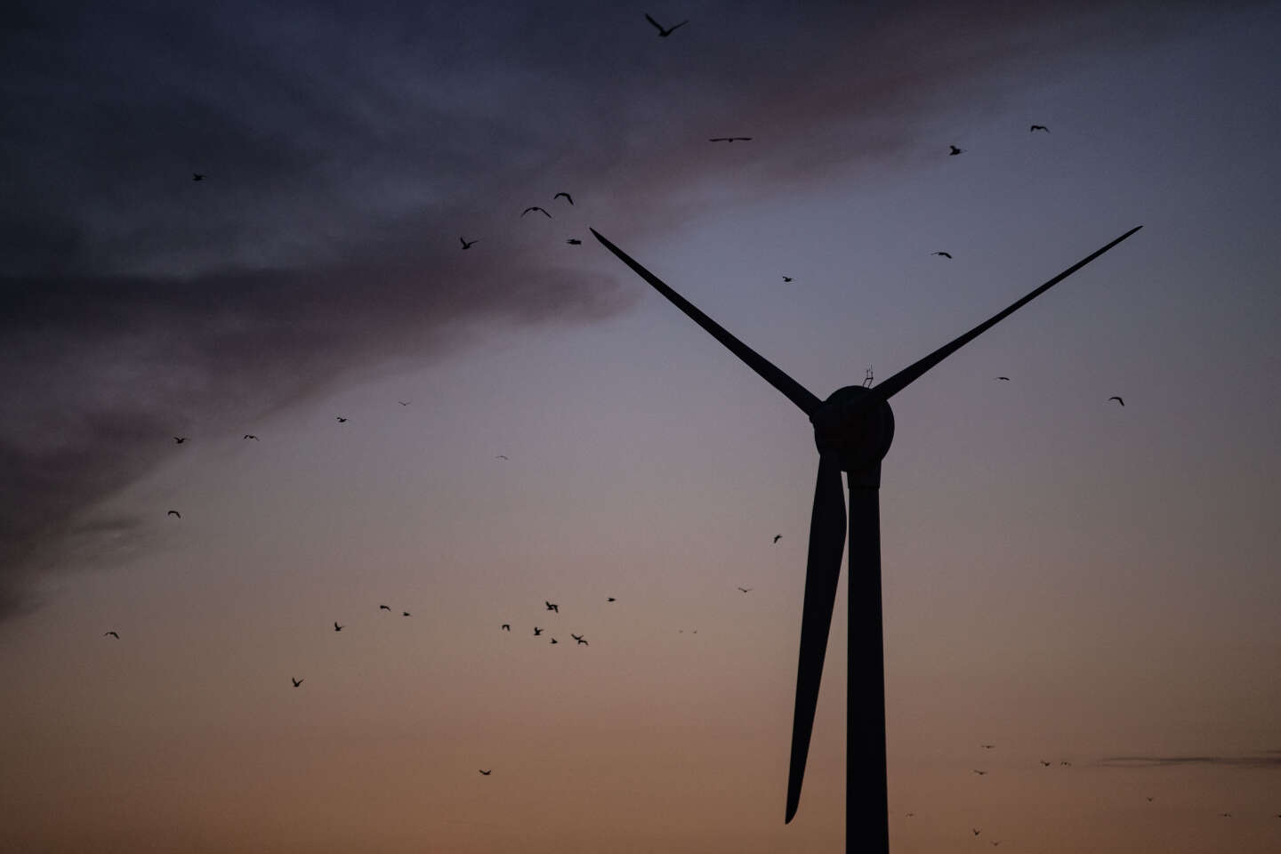 Dans le nord de l’Hérault, la justice demande le démontage d’un champ d’éoliennes