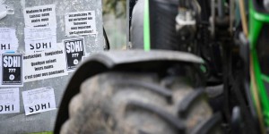 Pesticides SDHI : l’Anses n’identifie pas de risques au terme d’une expertise controversée