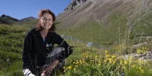 Sandra Lavorel, médaille d’or du CNRS et écologue tout-terrain