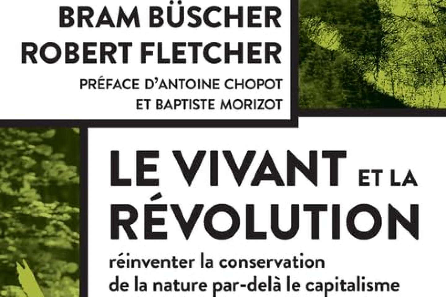 « Le Vivant et la Révolution » : la conservation de la nature est-elle un outil révolutionnaire ?