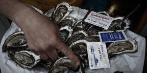 Les Français ont moins consommé d’huîtres en 2023