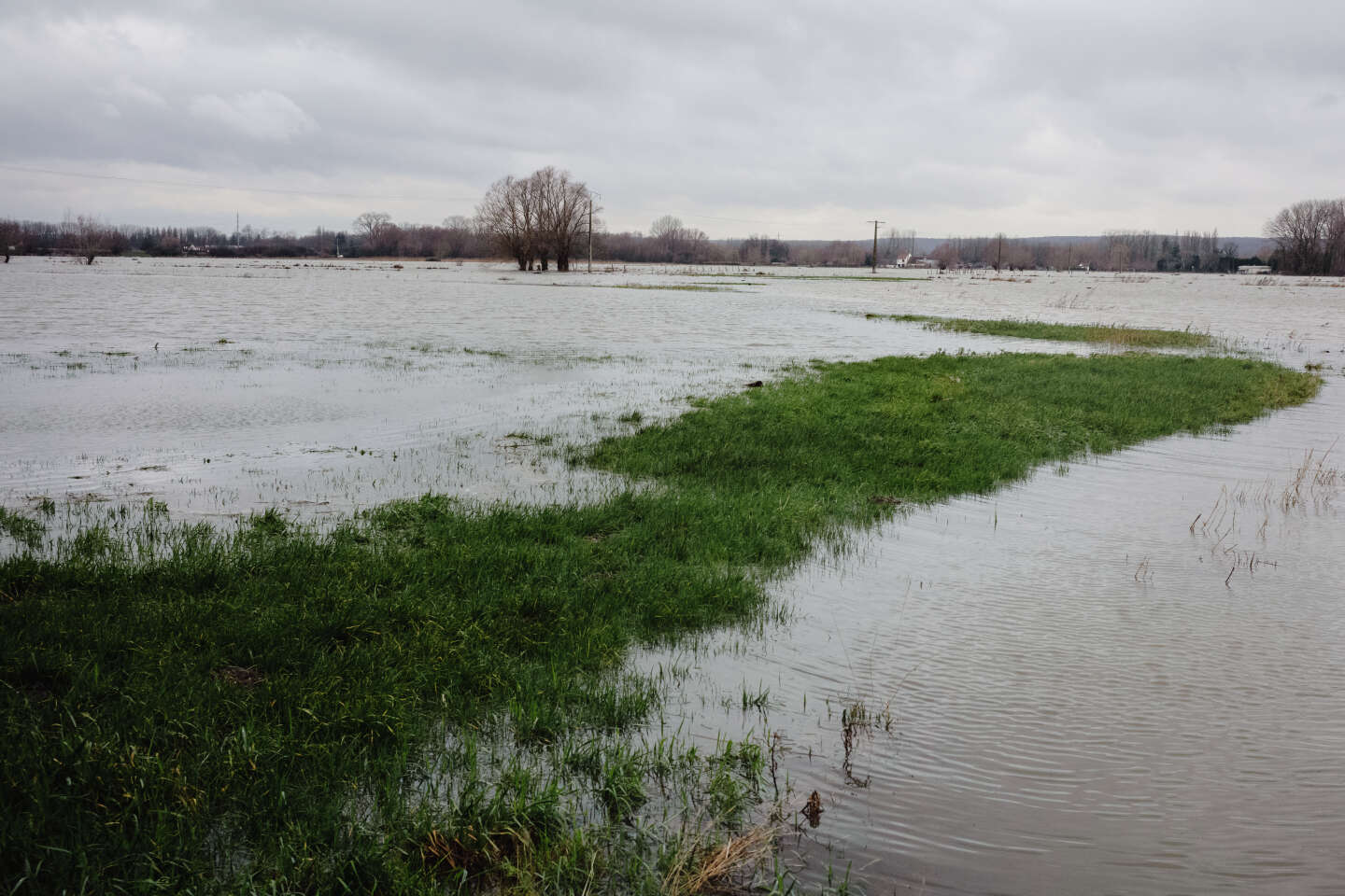 Inondations dans le Pas-de-Calais : l’organisme gérant les wateringues appelle à l’aide