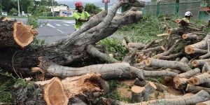 A La Réunion, où le cyclone Belal a fait moins de dégâts que redouté, les missions de reconnaissance commencent