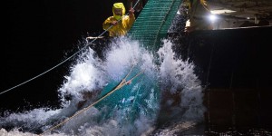 Surpêche, abrasion des fonds, émissions de CO₂… l’impact élevé de la pêche industrielle sur l’environnement