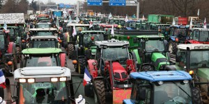 Crise agricole : « Ne plus concevoir nos modèles comme un choix binaire entre écologie et économie »