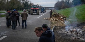 En Occitanie, les agriculteurs maintiennent la pression : « Cela va mal se passer au Salon de l’agriculture »