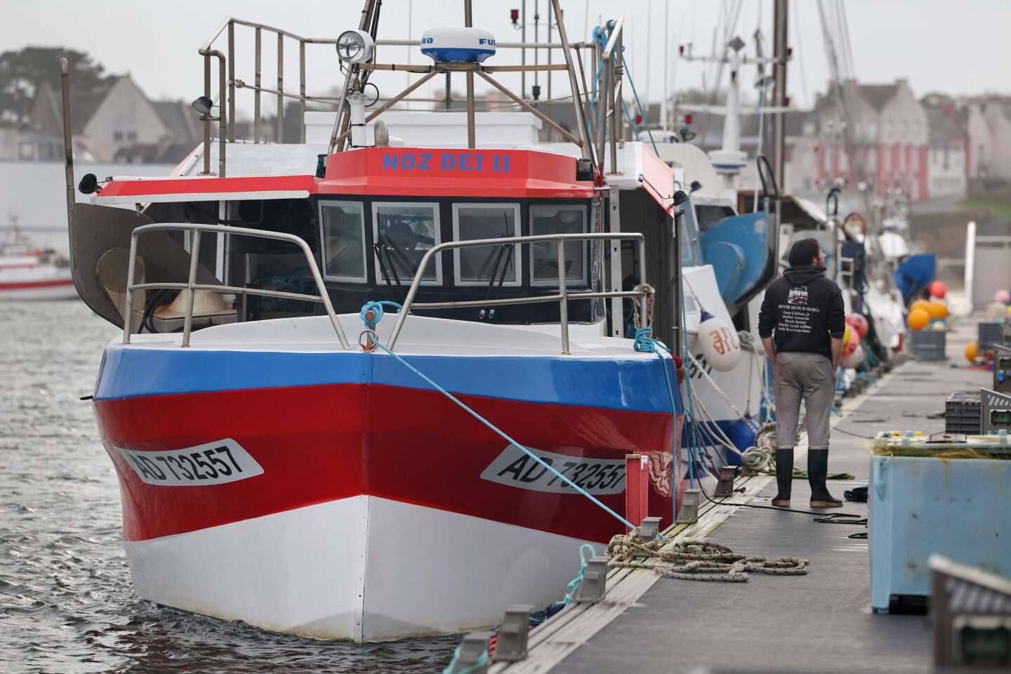 La pêche reprend dans le golfe de Gascogne, après un mois d’interdiction pour préserver les dauphins