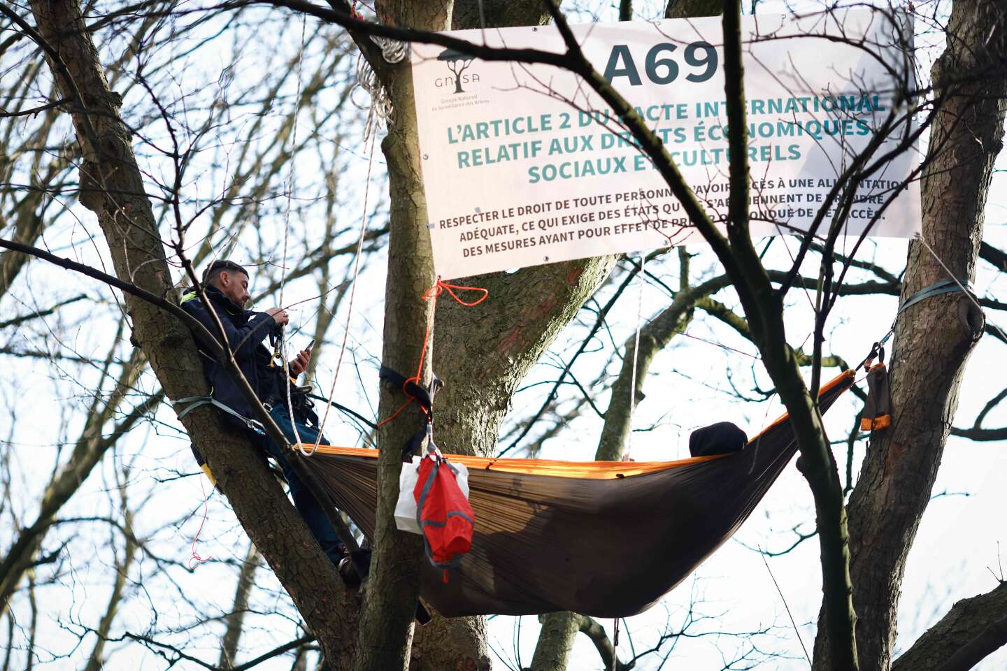Autoroute A69 : des écologistes perchés dans des arbres devant la Cour européenne des droits de l’homme