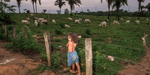 Au Brésil, la terre promise de l’Amazonie n’a pas tenu ses promesses auprès des paysans
