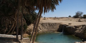 En Tunisie, les producteurs de fruits et légumes en manque d’eau tiraillés entre productivisme et permaculture