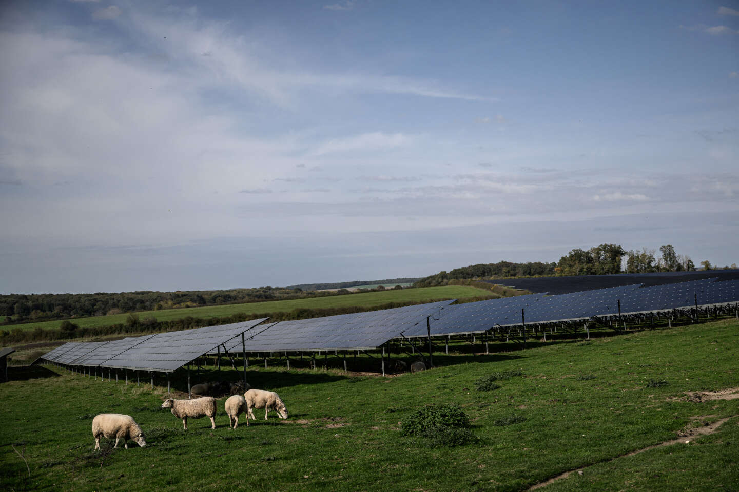 L’agrivoltaïsme, ou produire de l’énergie solaire sur des terres agricoles, va être développé en France