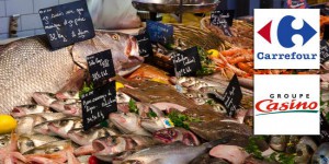 Carrefour et Casino ne vendront plus de poissons pêchés en eaux profondes