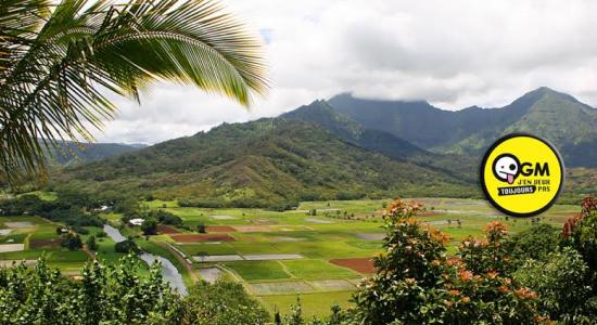 Hawaii dit 'non' aux OGM