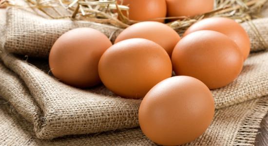 Faire des œufs sans poule, c'est possible.