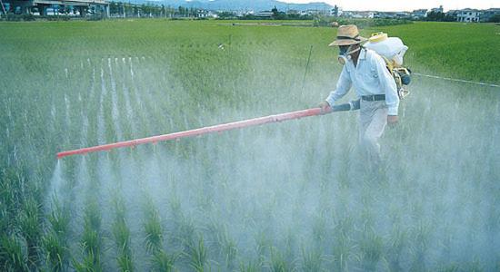 Le Roundup de Monsanto est désormais interdit au Salvador