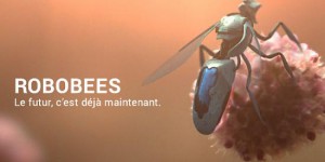 Les robots-abeilles sont arrivés pour sauver l'humanité