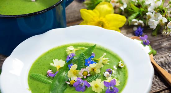 Alimentation bio : les fleurs comestibles pour égayer toutes vos recettes