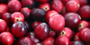 La cranberry : un remède naturel efficace contre les infections urinaires