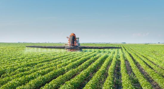 Monsanto espère gagner 4 milliards de dollars en vendant son soja OGM aux producteurs de coton et maïs