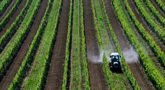 La France toujours incapable de réduire son utilisation de pesticides